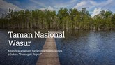 INTIP: 9 Sudut Terindah di Papua Dari Danau Sentani sampai Puncak Jaya menawarkan keindahan yang hanya bisa dinikmati di Provinsi Papua.