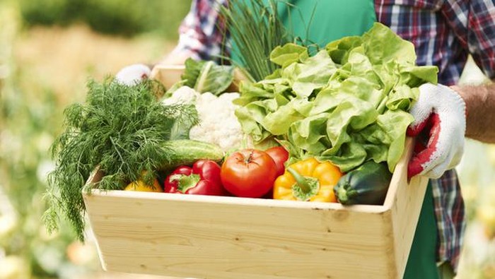 Trend Tiktok: Benarkah Klorofil Bisa Mengatasi Jerawat?