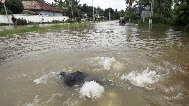 FOTO: Banjir Bandang Tewaskan 4 Orang di Sri Lanka