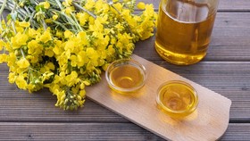 3 Jenis Minyak yang Sehat untuk Memasak, Bye-bye Kolesterol Jahat