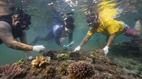 FOTO: Menyelamatkan Terumbu Karang Nusa Dua yang Sekarat