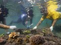 FOTO: Menyelamatkan Terumbu Karang Nusa Dua yang Sekarat