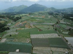 Desa Wisata Nampan Sukomakmur Magelang, Berlatar Gunung Sumbing nan Indah