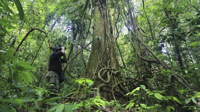 Kawasan Ekosistem Leuser seluas 2,6 juta hektare. Tentu saja pengabdian para jagawana di sana sarat tantangan.