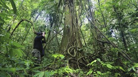 Jagawana Leuser, Profesi Menantang Penjaga Paru Dunia