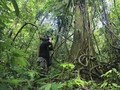 Jagawana Leuser, Profesi Menantang Penjaga Paru Dunia