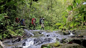 FOTO: Para Pelindung Hutan Leuser