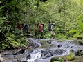 FOTO: Para Pelindung Hutan Leuser