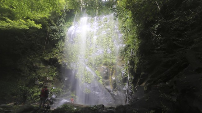FOTO: Para Pelindung Hutan Leuser