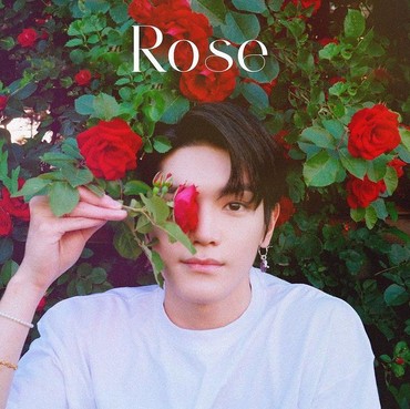 Lirik Lagu Rose - Taeyong NCT dan Seulgi Red Velvet