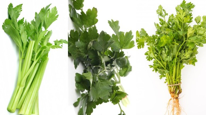 Bentuk yang Mirip, Ini Beda Seledri, Peterseli dan Daun Ketumbar