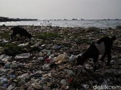 Generasi Milenial Diajak Jadi Agen Perubahan Kurangi Sampah Plastik