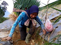 Cerita Pedangdut Seksi Kini Hijrah dan Jadi Petani, Lebih Memaknai Hidup