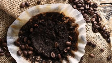 GUNAKAN LADA HINGGA AMPAS KOPI UNTUK MENGHILANGKAN SEMUT