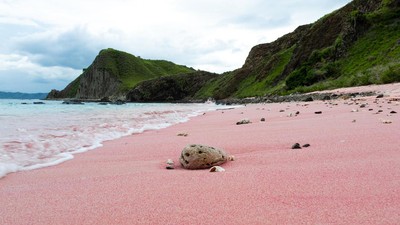 5 Pantai Pasir Pink di Indonesia, Sudah Pernah Berkunjung?