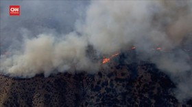 VIDEO: Kebakaran Hanguskan 57 Ribu Hektare Hutan di Arizona