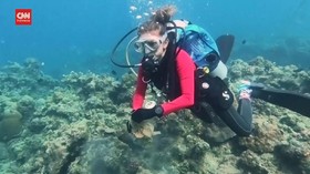 VIDEO: Aksi Penyelam Kumpulkan Sampah Masker di Laut Filipina