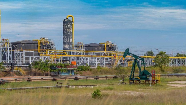 Jelang alih kelola Blok Rokan dari Chevron kepada Pertamina, belum lama ini PT Pertamina Hulu Rokan menggelar sosialisasi program Local Business Development.