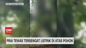 VIDEO: Pria Tewas Tersengat Listrik Di Atas Pohon