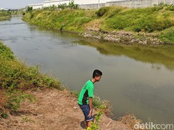 Ada Sayembara Tangkap Buaya di Sungai Sadar Mojokerto, Ini Faktanya