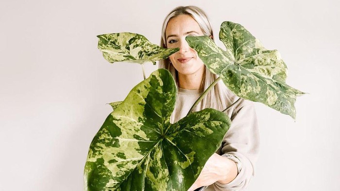 5 Tanaman Hias yang Bahaya Disimpan dalam Rumah