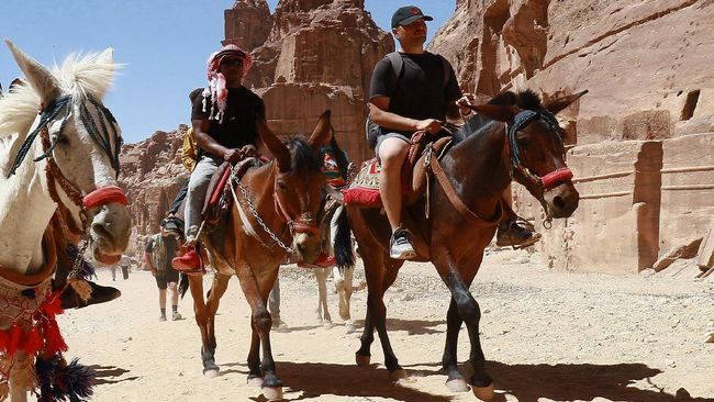 Pandemi tak hanya berdampak buruk terhadap pelaku wisata di Kota Tua Petra. Kawanan keledai di sana juga ikut menganggur karena sepi turis.