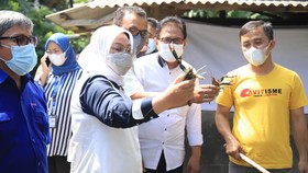 Menaker Apresiasi Budidaya Ikan Nila dan Lobster di Tasik