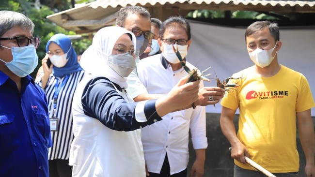 Selain membuktikan kemampuan masyarakat untuk bertahan, kelompok budidaya ikan nila dan lobster di Tasikmalaya itu juga membuka lapangan kerja baru.