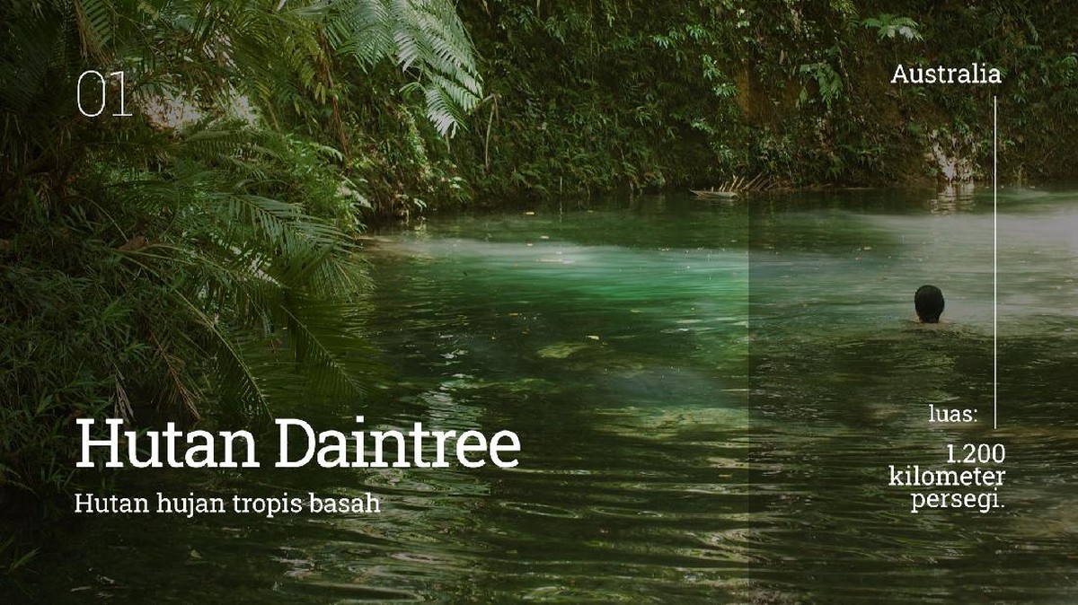 INTIP: 7 Hutan Terbesar di Dunia