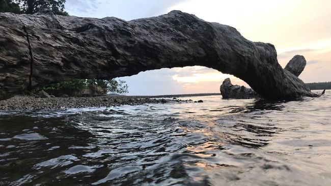 Jika Provinsi Papua Barat punya Raja Ampat, maka Provinsi Papua punya Nabire yang kini semakin populer sebagai destinasi wisata menyelam.