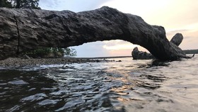 Nabire, 'Surga' Bawah Laut di Papua