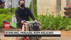VIDEO: Starling, Penjual Kopi Keliling