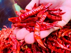 5 Cara Ampuh Hilangkan Panas di Tangan Setelah Terkena Cabai