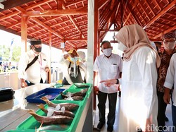 Nikmati Langsung Olahan Ikan Segar di Fish Market Festival Banyuwangi
