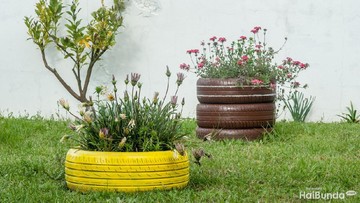 JENIS TANAMAN HIAS RUMPUT LAIN UNTUK DEKORASI TAMAN