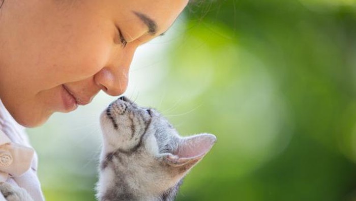 Biar Gak Berlarut, Begini Cara Mengatasi Kesedihan Saat Hewan Kesayangan Mati