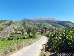 Gembiranya Masih Bisa Berjumpa Penguasa Angkasa Gunung Merbabu