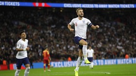 Harry Kane Sebut Pelaku Rasis Bukan Fan Inggris