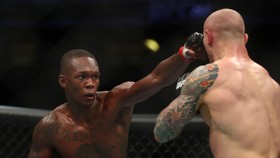 Jadwal UFC 281: Adesanya vs Pereira