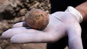 FOTO: Arkeolog Israel Temukan Telur Ayam Berumur 1.000 Tahun