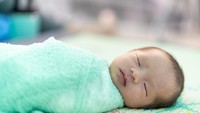 Terpopuler: Kelahiran En Caul hingga Potret Tampannya Cucu Soekarno Berdarah Jepang