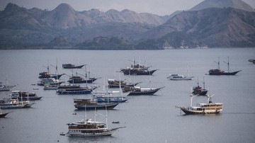 Sistem Kuota Pengunjung TN Komodo Pengaruhi Bisnis Kapal Charter