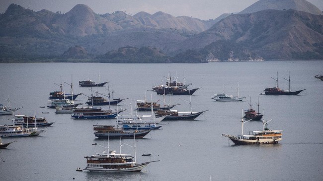 Sistem Kuota Pengunjung TN Komodo Pengaruhi Bisnis Kapal Charter