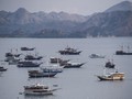 'Work from Bajo' Dongkrak Kunjungan Turis hingga 38 Persen