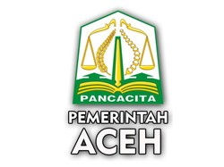 Pemprov Aceh Bantah APBA Rp 1,2 T untuk PON: Itu dari Sponsor-Parkiran