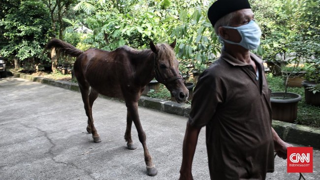 FOTO: Pemasangan Tapal Kuda Delman di Jakarta Selatan