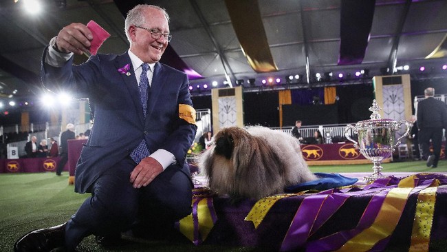 FOTO: Aksi Lucu Anjing-anjing di Kontes Westminster Dog Show