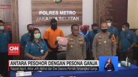 VIDEO: Antara Pesohor dengan Pesona Ganja