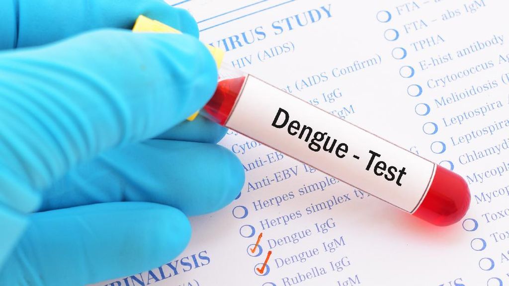 IDAI: Anak Usia 4-18 Tahun Kini Bisa Dapat Vaksin Dengue