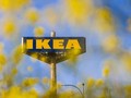 Ikea Kena Denda Rp20,7 M Karena Skandal Mata-matai Karyawan